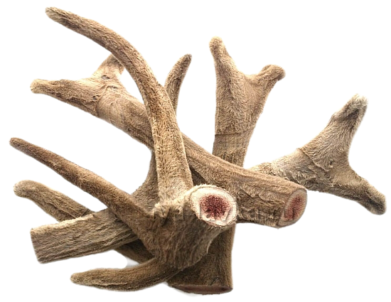 Интересные факты о продукции на основе пант