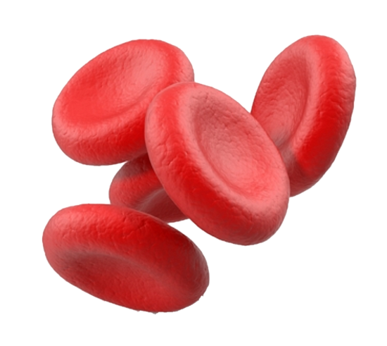 Преимущества крови маралов