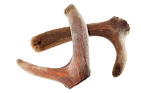 Эффективный препарат на основе крови маралов